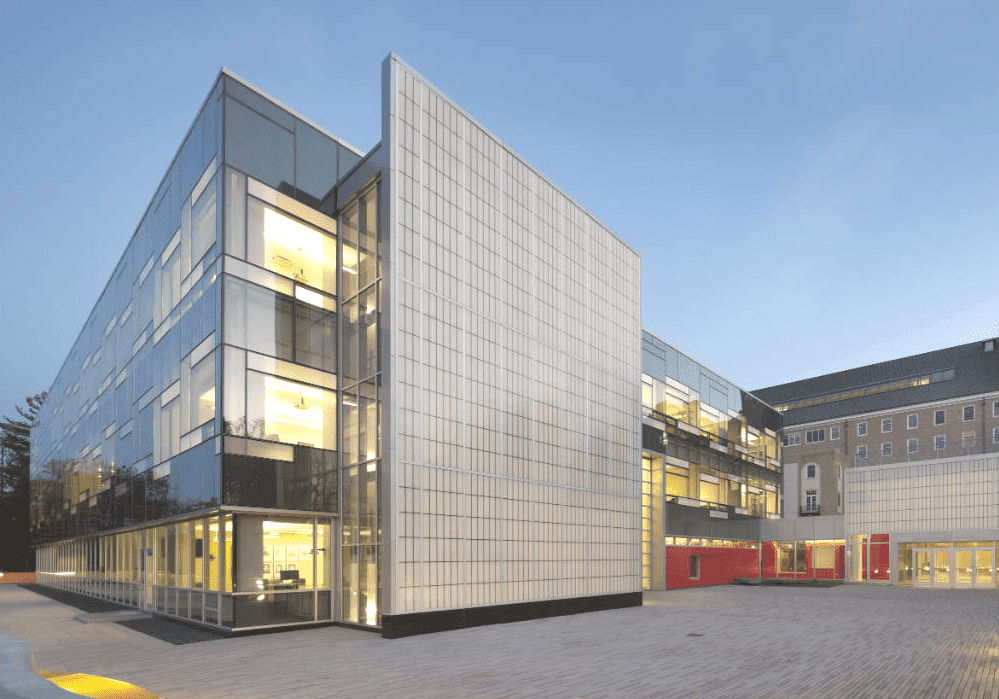 苍蝇粉真实效果